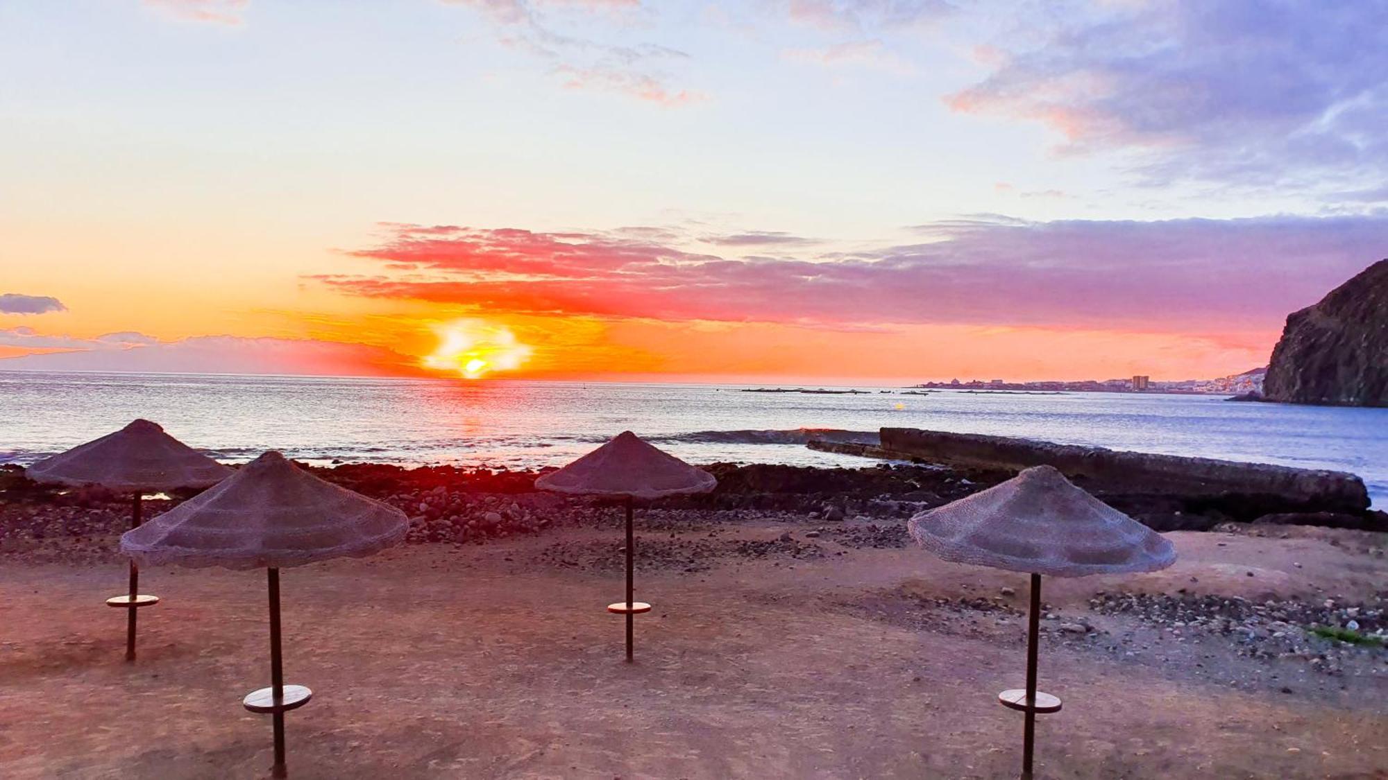 滨海帕尔姆Terraza Sea & Sun公寓 外观 照片