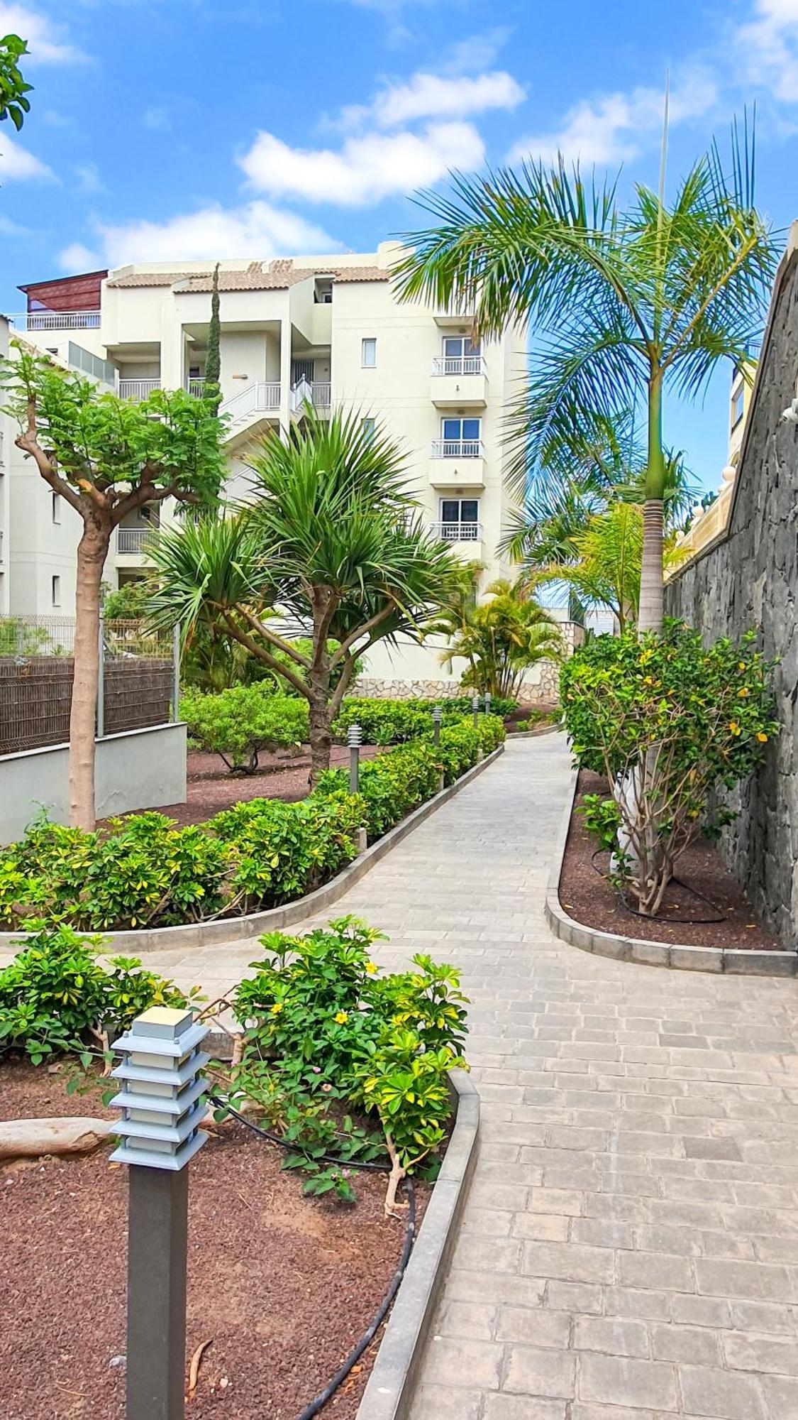 滨海帕尔姆Terraza Sea & Sun公寓 外观 照片